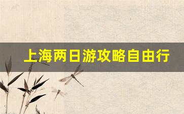 上海两日游攻略自由行亲子-上海两日游攻略自由行