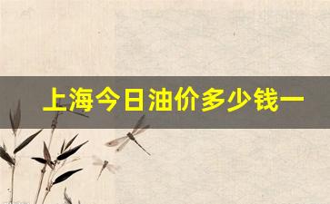 上海今日油价多少钱一升92号汽油-上海今日92号油价格