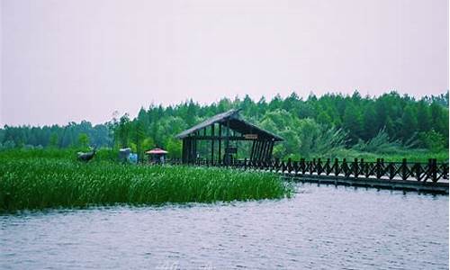上海到泰州溱湖湿地公园两日游_上海到泰州溱湖湿地公园两日游路线