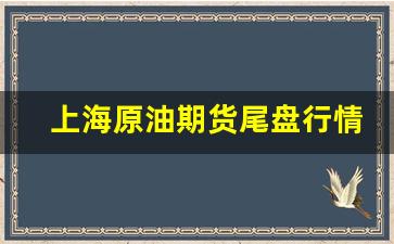 上海原油期货尾盘行情分析(上海原油期货行情实时行情)_https://www.huakunhengjia.com_期货资讯_第1张