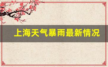 上海天气暴雨最新情况_上海天气暴雨最新情况查询