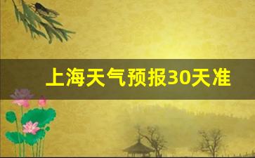 天气查询30天上海_上海天气预报30天准确率高的地方