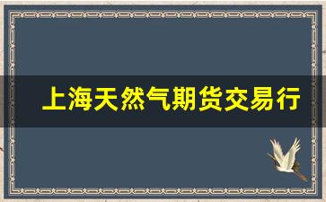 上海天然气期货交易行情网(上海天然气价格最新价格2021)_https://www.fzdzcxj.com_北交所_第1张