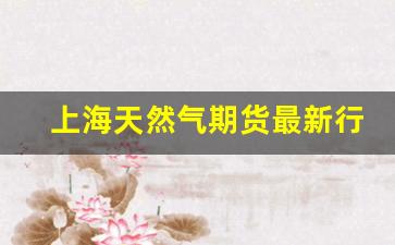 上海天然气期货最新行情(上海天然气最新价格)_https://www.gfdzclz.com_上交所_第1张