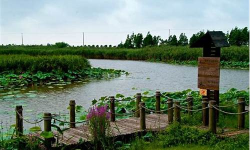 上海崇明岛湿地公园门票,上海崇明湿地公园门票价格