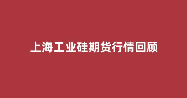 上海工业硅期货行情回顾(工业硅 期货)_https://www.jnskb.com_效果图_第1张