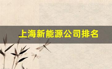 上海新能源公司排名(上海新能源厂家)_https://www.hhem8.com_上交所_第1张