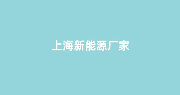 上海新能源厂家(上海新能源厂家有哪些)_https://www.hn-life.com_上交所_第1张