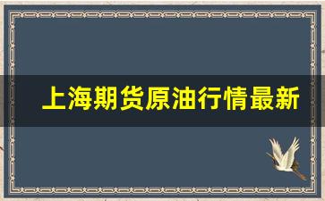 上海期货原油行情最新(上海原油期货行情实时行情2109)_https://www.ljyuan-tech.com_上交所_第1张