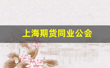 上海期货同业公会(上海期货同业公会地址)_https://www.hangfeite.com_深交所_第1张