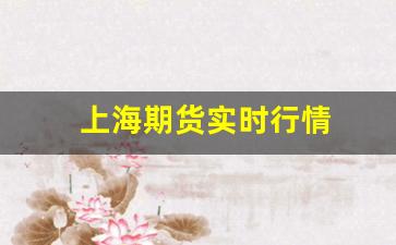 上海期货实时行情(上海期货即吋行情)_https://www.gfdzclz.com_上交所_第1张