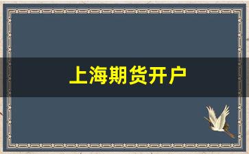 上海期货开户(上海期货开户要什么条件)_https://www.xzdzcjx.com_上交所_第1张