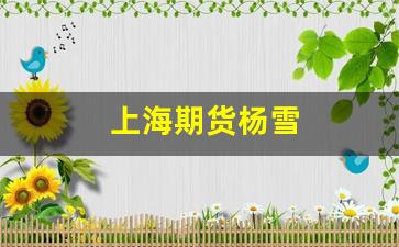 上海期货杨雪(上海期货)_https://www.gfdzclz.com_上交所_第1张