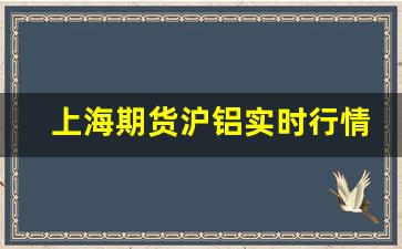 上海期货沪铝实时行情查询官网(上海期货铝最新行情走势)_https://www.jumanxin.com_上交所_第1张