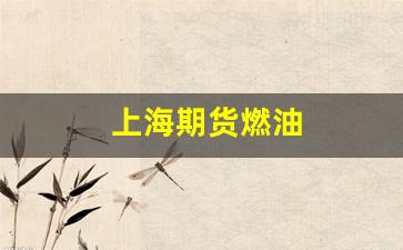 上海期货燃油(上海期货燃油一手多少吨)_https://www.xzdzcjn.com_上交所_第1张