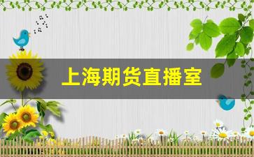 上海期货直播室