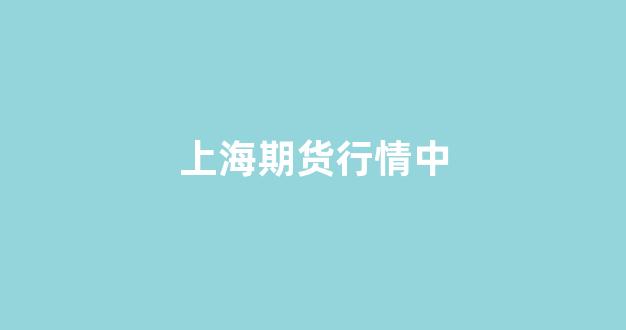 上海期货行情中(期货 上海)_https://www.hhem8.com_上交所_第1张