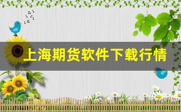 上海期货软件下载行情报价(上海大陆期货手机版软件下载)_https://www.erdeww.com_期货_第1张