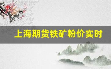 上海期货铁矿粉价实时行情(铁矿石期货价格)_https://www.haiwangdasha.com_北交所_第1张