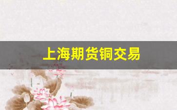 上海期货铜交易(上海期货交易铜价格)_https://www.xzdzcjx.com_创业板_第1张