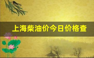 上海柴油价今日价格查询最新-上海今日柴油价格多少钱一升