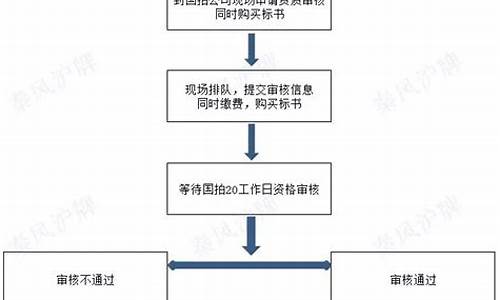 上海车牌拍牌申请流程,上海汽车拍牌流程