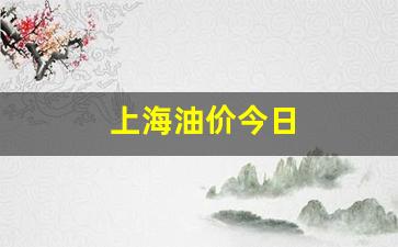 上海油价今日价格92和95-上海油价今日