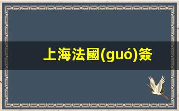 上海法國(guó)簽證中心(上海法國(guó)簽證中心tls官網(wǎng))