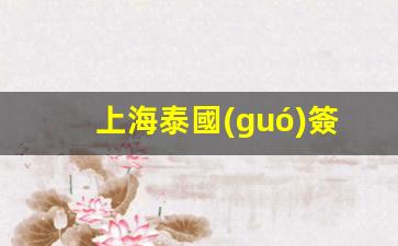 上海泰國(guó)簽證中心官網(wǎng)(上海泰國(guó)簽證中心官網(wǎng)查詢)