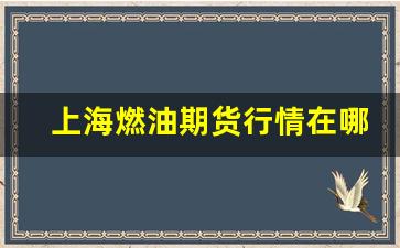 上海燃油期货行情在哪看(燃油2403期货行情)_https://www.ljyuan-tech.com_科创板_第1张