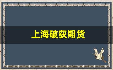 上海破获期货(上海破获的最新诈骗案)_https://www.brunchezvous.com_旅游攻略_第1张