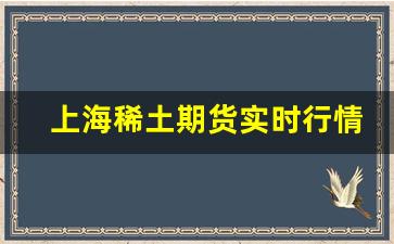 上海稀土期货实时行情走势(稀土期货实时行情走势 生意社)_https://www.fzdzcxj.com_上交所_第1张