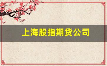 上海股指期货公司(股指期货公司十大排行)_https://www.xzdzchf.com_深交所_第1张