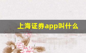 上海证券app叫什么名字(上海证券app是什么)_https://www.erdeww.com_期货行情_第1张