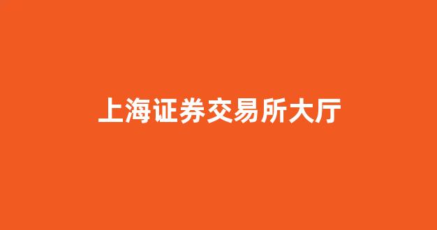 上海证券交易所大厅(上海 证券交易所)_https://www.hhem8.com_北交所_第1张
