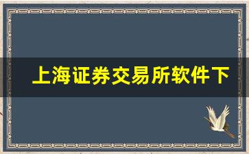 上海证券交易所软件下载_https://www.nalian8.com_科创板_第1张