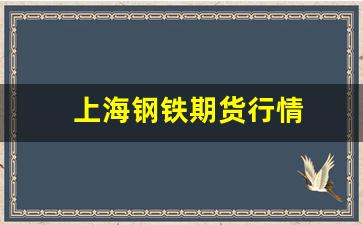 上海钢铁期货行情(上海钢铁研究所)_https://www.erdeww.com_期货知识_第1张