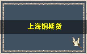 上海铜期货(上海铜期货价)_https://www.ljyuan-tech.com_创业板_第1张