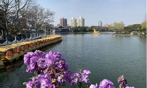 上海长风公园在哪儿,上海长风公园游玩项目