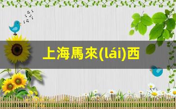 上海馬來(lái)西亞簽證處