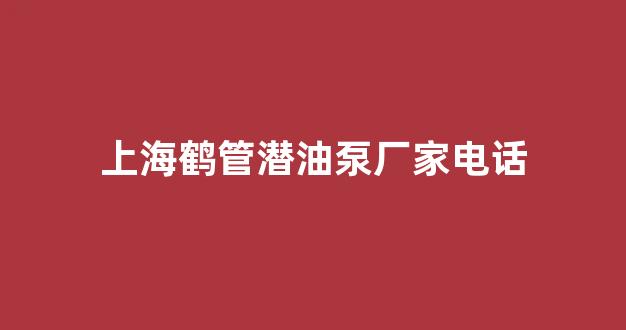 上海鹤管潜油泵厂家电话(上海鹤管潜油泵厂家电话号码)(1)