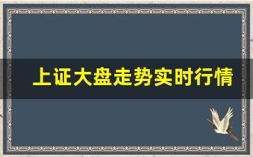上证大盘走势实时行情预测(上证股市行情大盘走势图)_https://www.fzdzcxj.com_深交所_第1张