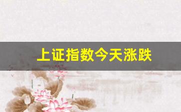 上证指数今天涨跌(上证指数今天涨跌多少)_https://www.jianghaiboli.com_原油期货_第1张