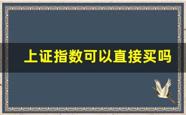 上证指数可以直接买吗(上证指数可以直接买吗股票)_https://www.gfdzclz.com_深交所_第1张