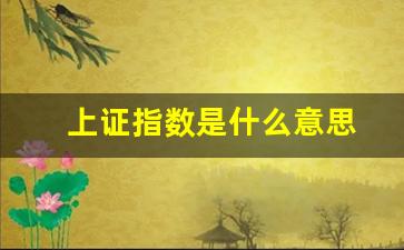 上证指数是什么意思(股票怎么买新手入门)_https://www.luoxuangg888.com_北交所_第1张