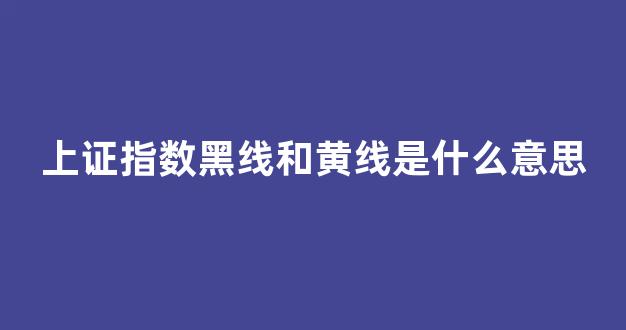 上证指数黑线和黄线是什么意思(上证指数点位代表什么意思)_https://www.luoxuangg888.com_科创板_第1张