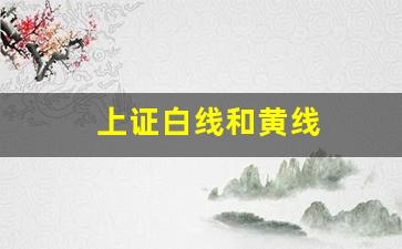 上证白线和黄线(上证k线图白线和黄线)_https://www.gen-fastener.com_郑商所_第1张