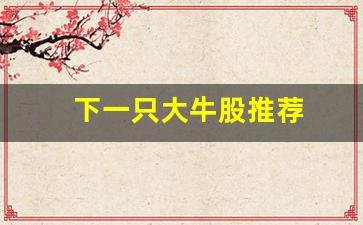 下一只大牛股推荐(下一轮大牛市预测)_https://www.haiwangdasha.com_上交所_第1张