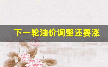 下一轮的油价调整-下一轮油价调整还要涨