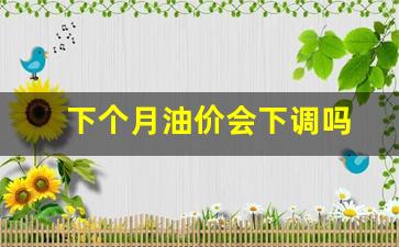 下个月油价会下调吗-下个月油价下跌